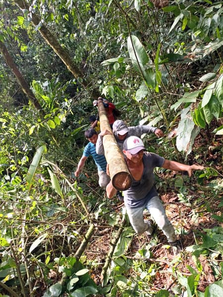 Yuyarina Pacha Kids Library